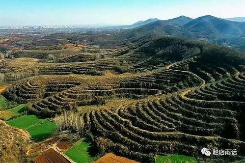 国产三级乡下,国产三级电影的乡村画卷  第2张