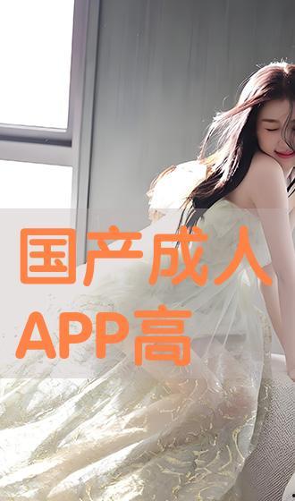 国产高清色情,揭秘背后产业链与监管挑战  第3张