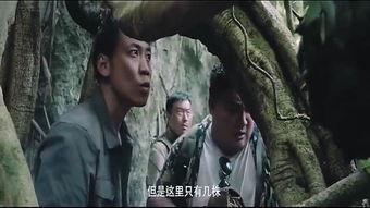 国产野战视频在线观看,全景展现我国军事实力与英勇风采 第2张 国产野战视频在线观看,全景展现我国军事实力与英勇风采 第2张