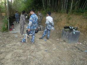 国产打野战,激情四溢的国产电竞新篇章  第1张