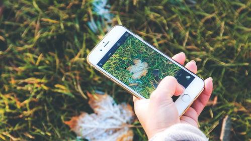 手机看片国产福利永久  第1张