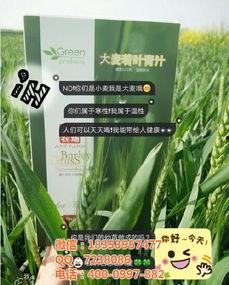 久久国产青,久久青生成新时代文化新风尚 第1张 久久国产青,久久青生成新时代文化新风尚 第1张